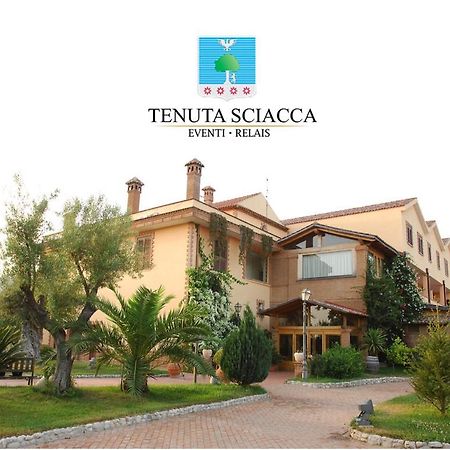 Tenuta Sciacca Villa Falciano del Massico Eksteriør billede