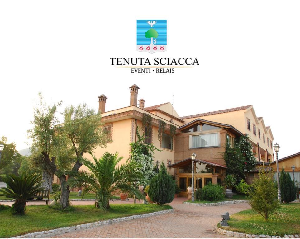 Tenuta Sciacca Villa Falciano del Massico Eksteriør billede