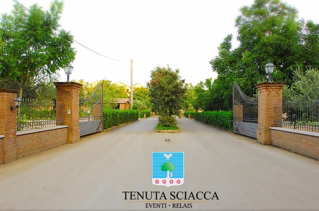 Tenuta Sciacca Villa Falciano del Massico Eksteriør billede