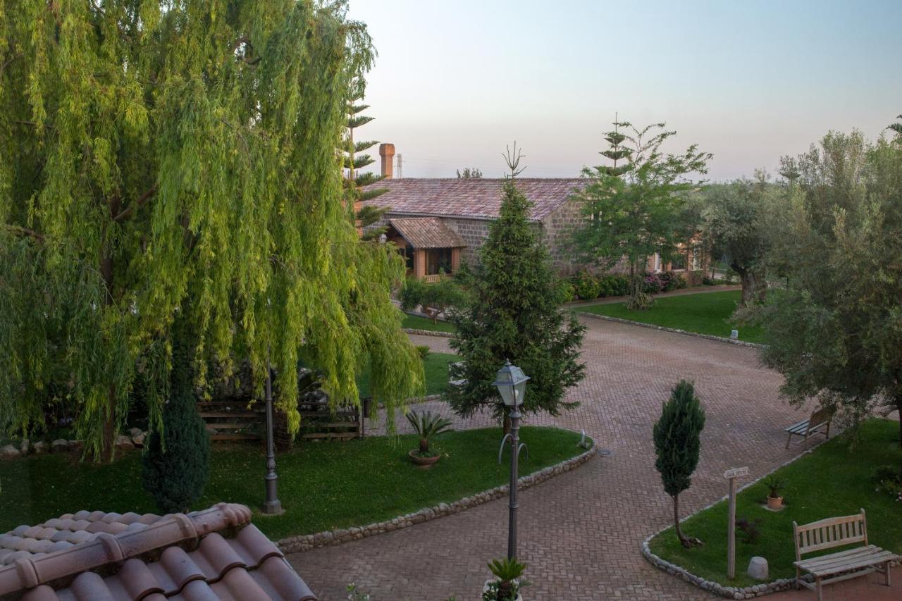 Tenuta Sciacca Villa Falciano del Massico Eksteriør billede